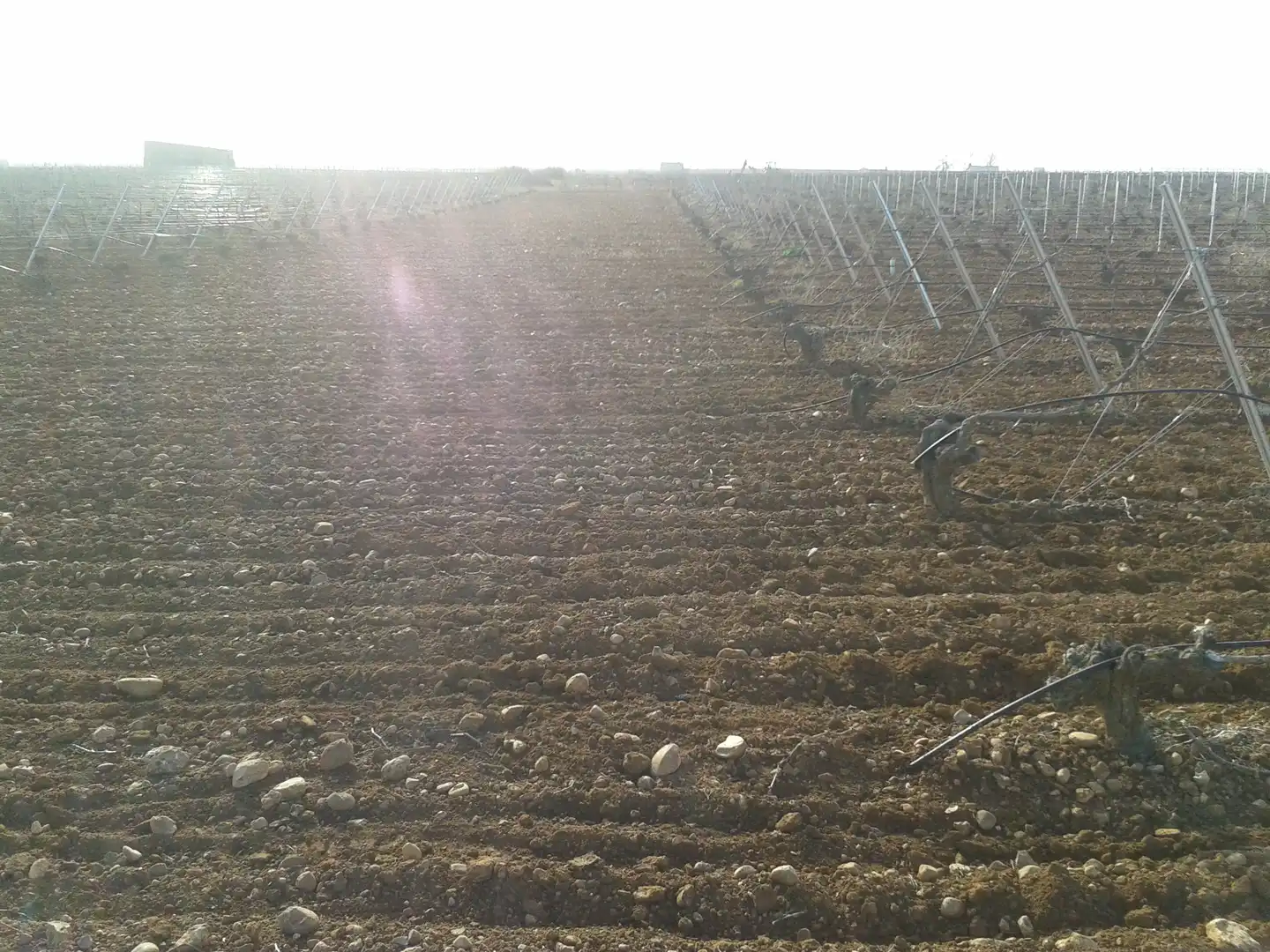 Terreny rústic en venda a Autovía de Extremadura a la Comunidad Valenciana, imagen 7