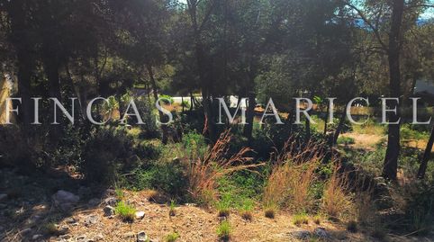 SOLAR URBANO EN CAN GIRONA  SITGES, imatge 3