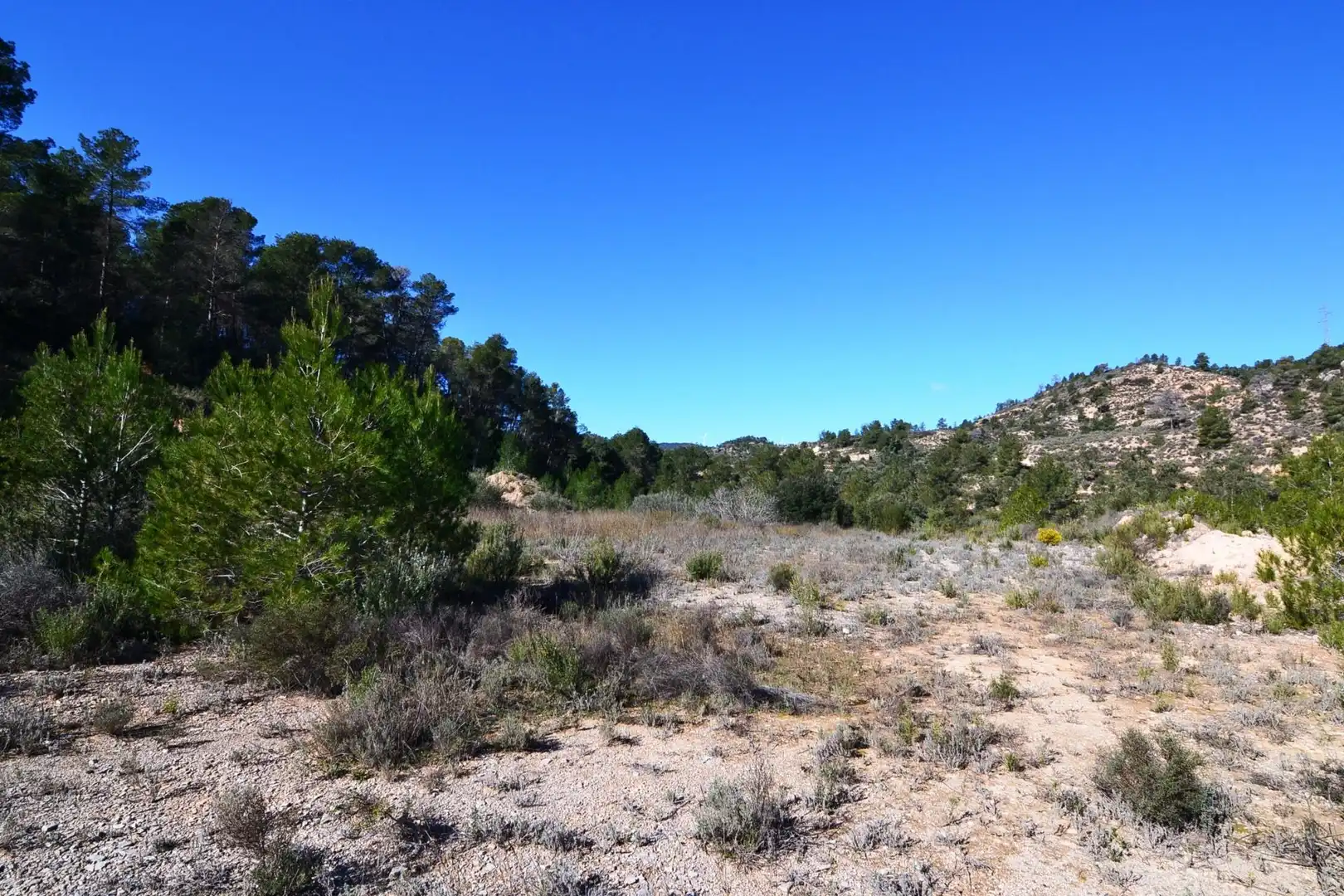 Rural land for sale in Ascó, imagen 39