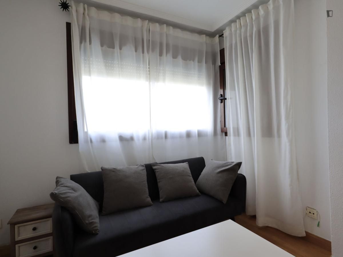 Living room of Apartment to rent in  Madrid Capital  with Air Conditioner, Heating and Furnished