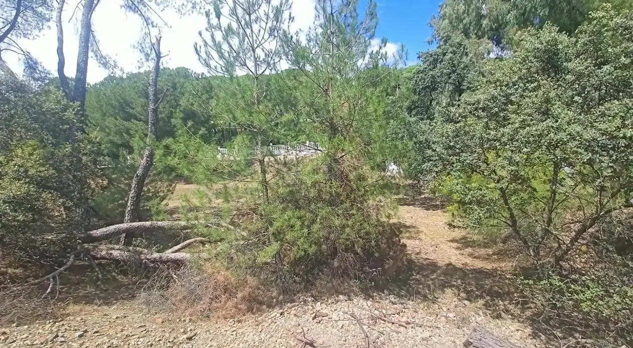 Lands and plots for sale in Campamento, imagen 11