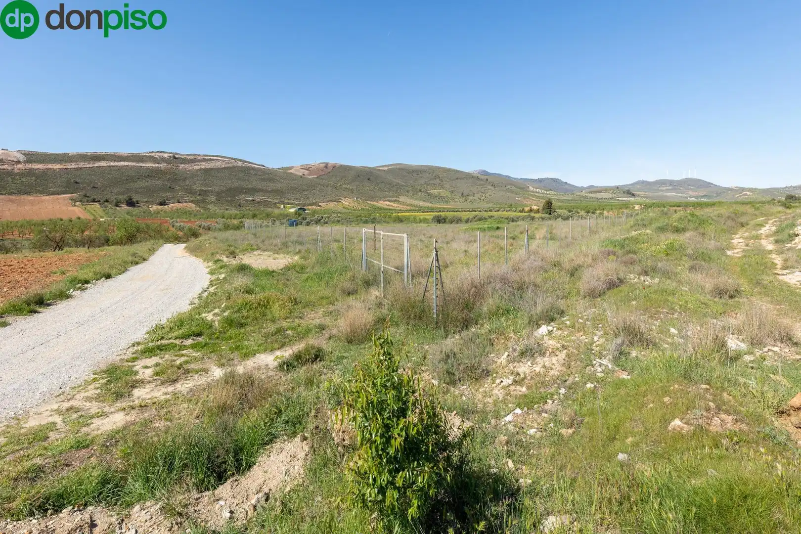 Terreny rústic en venda a tesoro de villamena, imagen 8