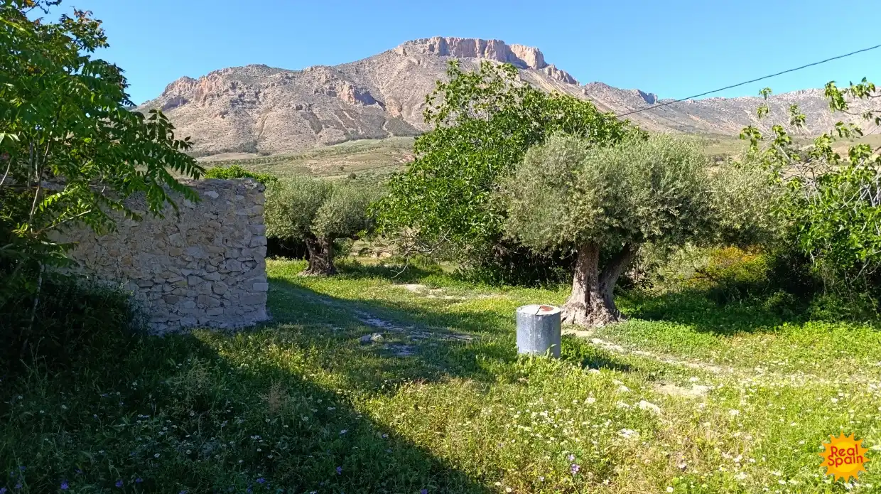 Country house for sale in Vélez-Blanco, imagen 31