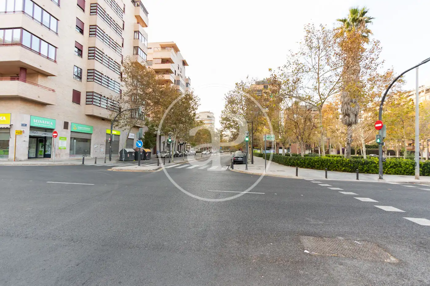 Piso en venta en Av. del Primat Reig, Trinitat
