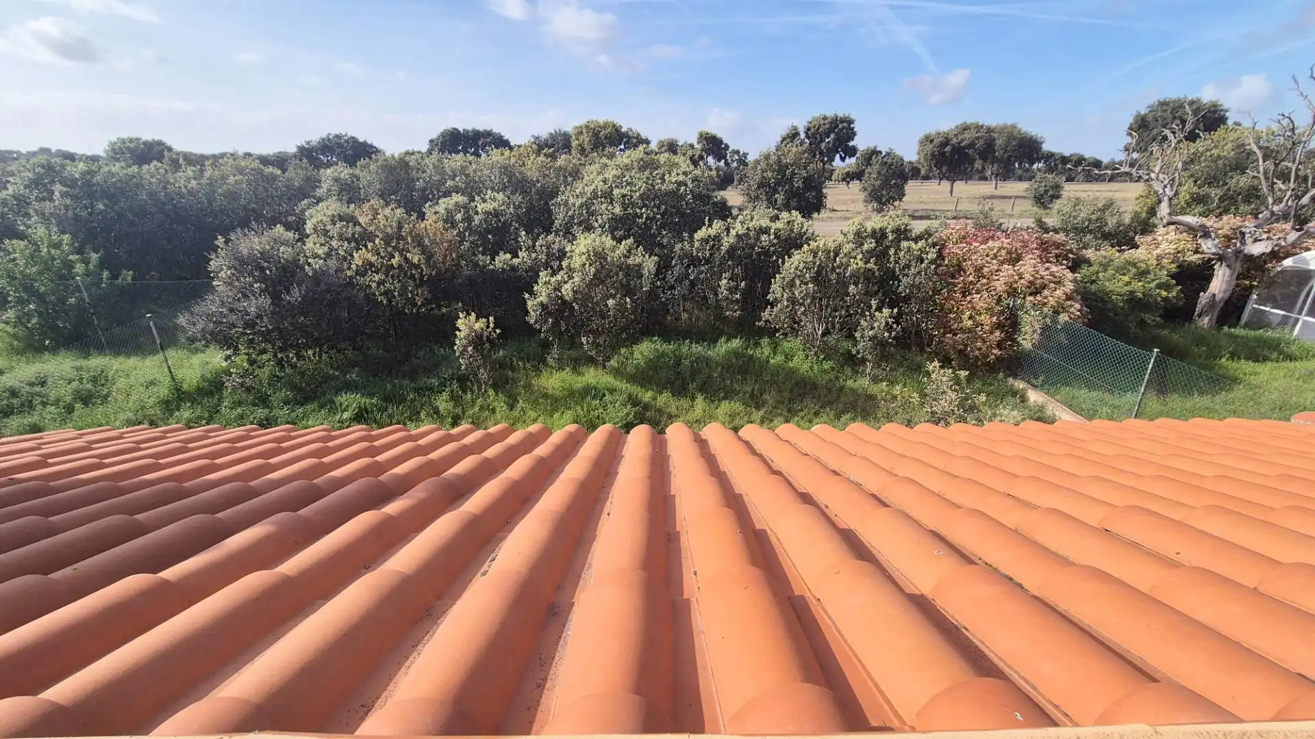 Terrace of Detached homes for sale in Carrascal de Barregas