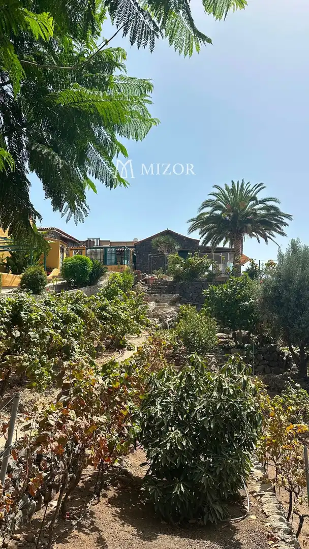 Casa en venta en subida de Vera de Erques, imagen 137