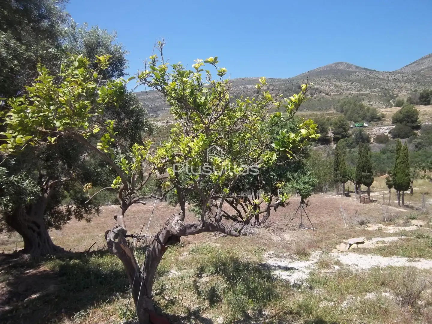 Lands and plots for sale in Benissa pueblo, imagen 16
