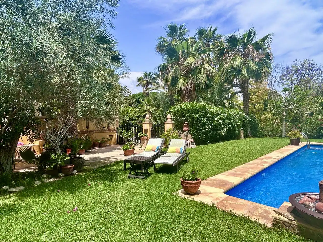 Garden of Houses for sale in Alicante / Alacant  with Air Conditioner, Private garden and Terrace