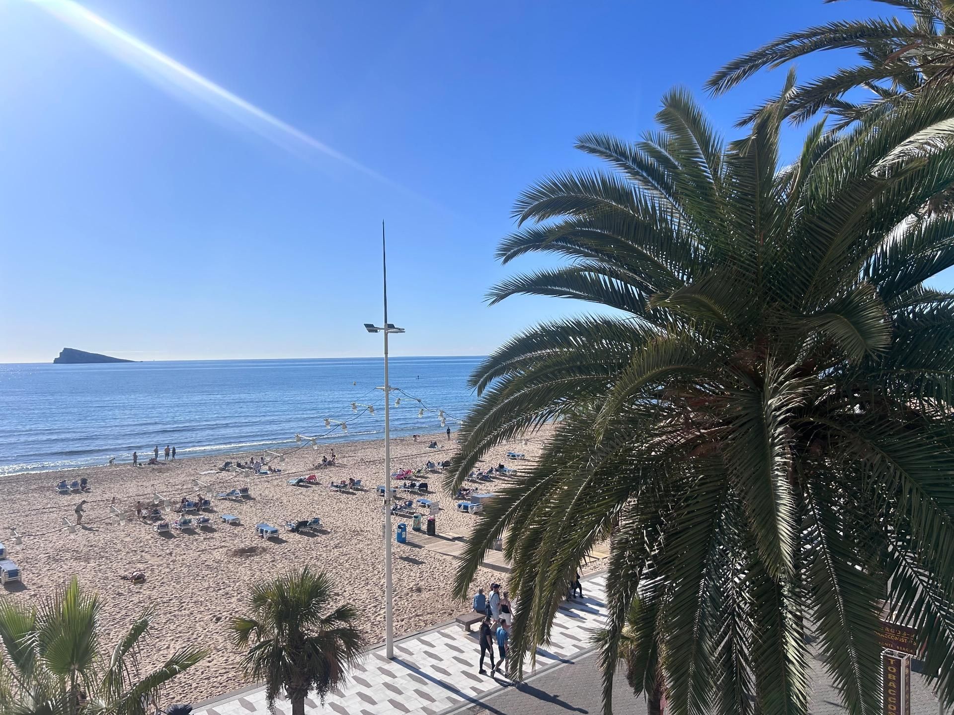 Vista exterior de Apartamento en venta en Benidorm con Jardín privado y Terraza