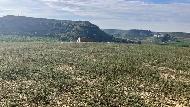 Terreni e lotti in vendita a N/A, imagen 3