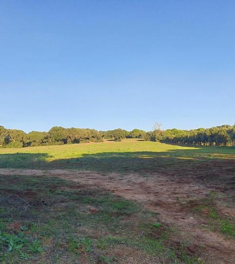 Photo 2 of Residential for sale in  Cañada de Manzanete, Barbate ciudad, Cádiz