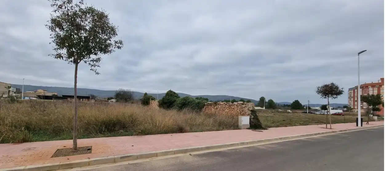 Wohnbaugrundstück zum Verkauf in Carrer d'Alió 10