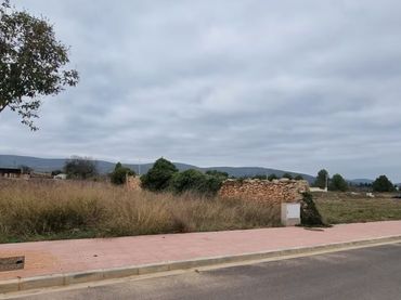 Terreny residencial en venda a Carrer d'Alió 13