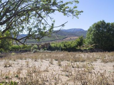Rural land for sale in PAGO ACEQUIA BAJA Polígono 11 Parcela 174 11