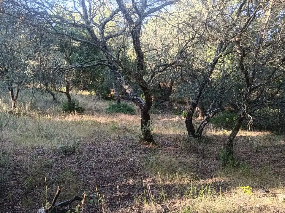 Finca rústica en venta en Linares de la Sierra