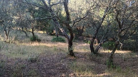 Foto 4 von Country house zum Verkauf in Linares de la Sierra, Huelva