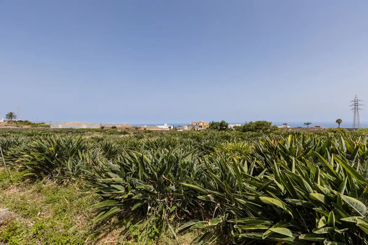Country homes for sale in San Cristóbal de la Laguna  with Private garden, Terrace and Balcony
