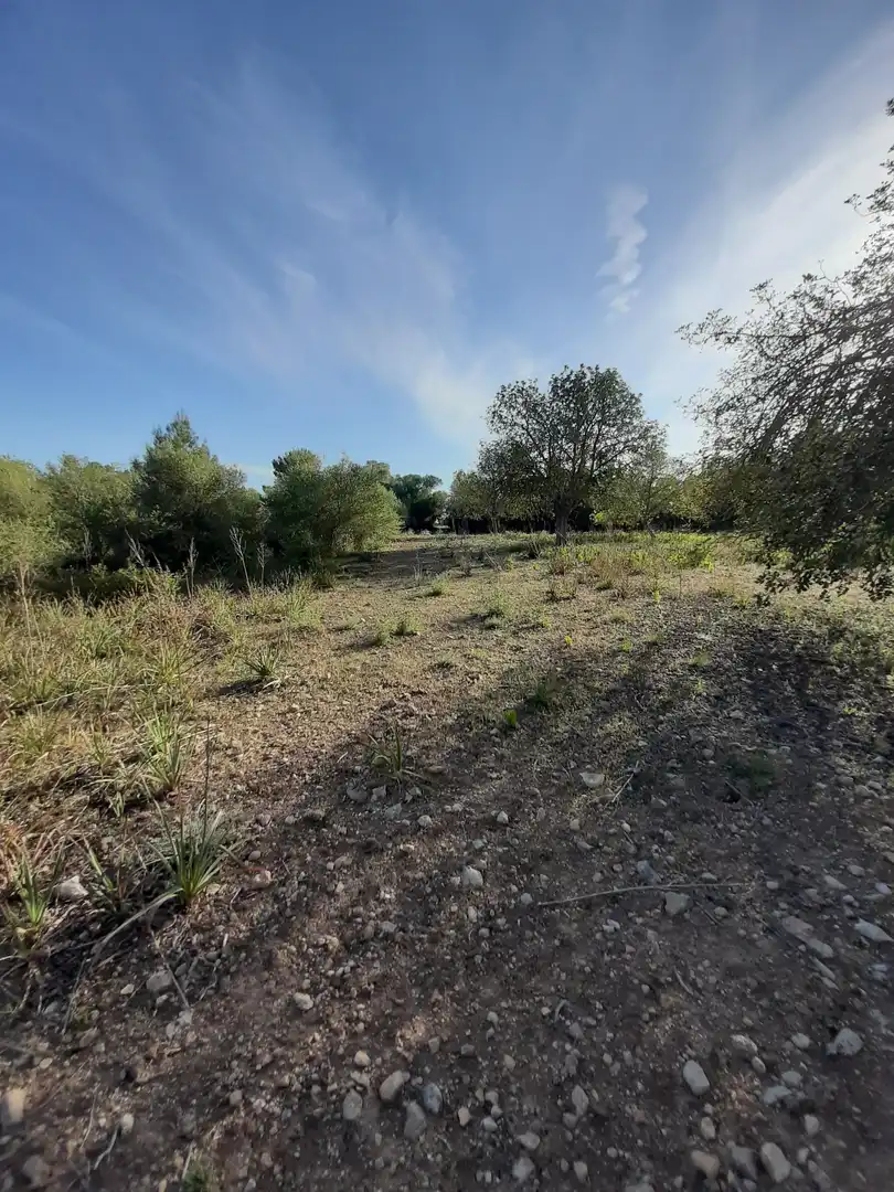 Terrain rustique à vendre à Sant Joan, imagen 18