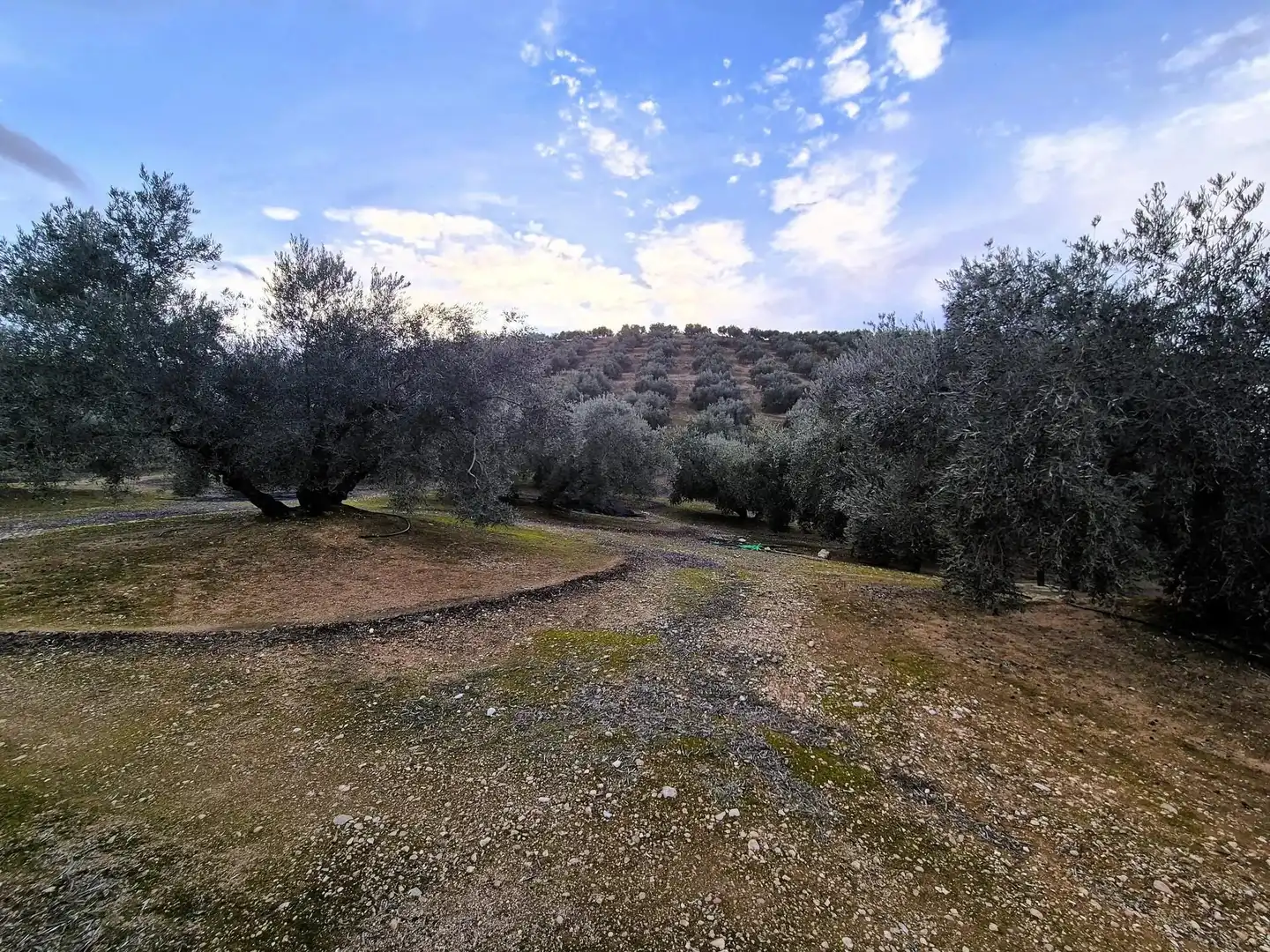 Rural land for sale in Huétor Tájar, imagen 21