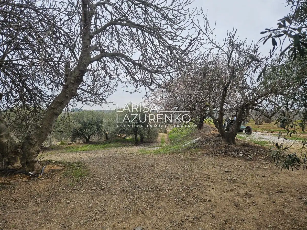 Finca rústica en venda en Riudoms