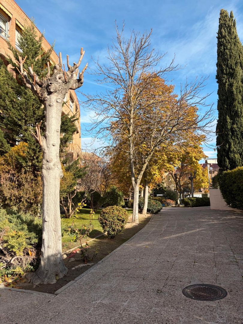 Exterior view of Flat to rent in Pozuelo de Alarcón  with Air Conditioner, Parquet flooring and Terrace