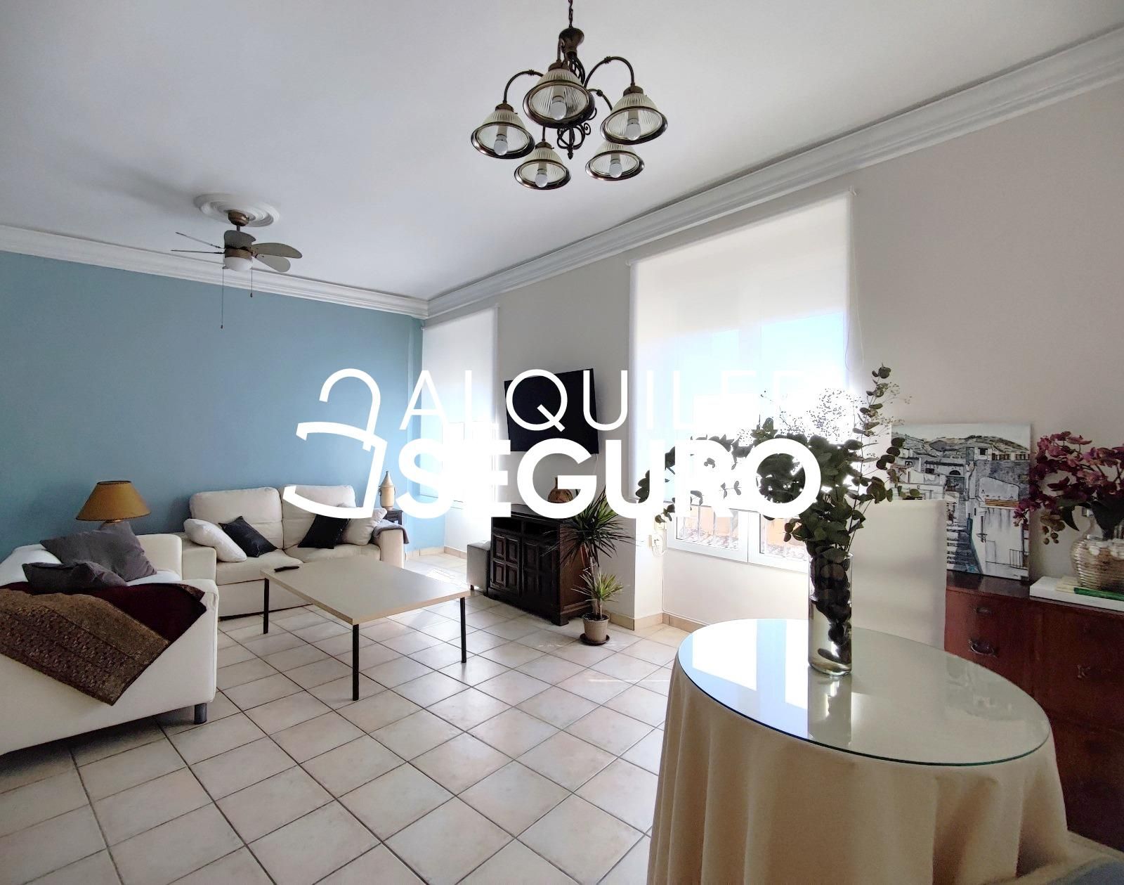 Living room of Flat to rent in Alicante / Alacant  with Furnished