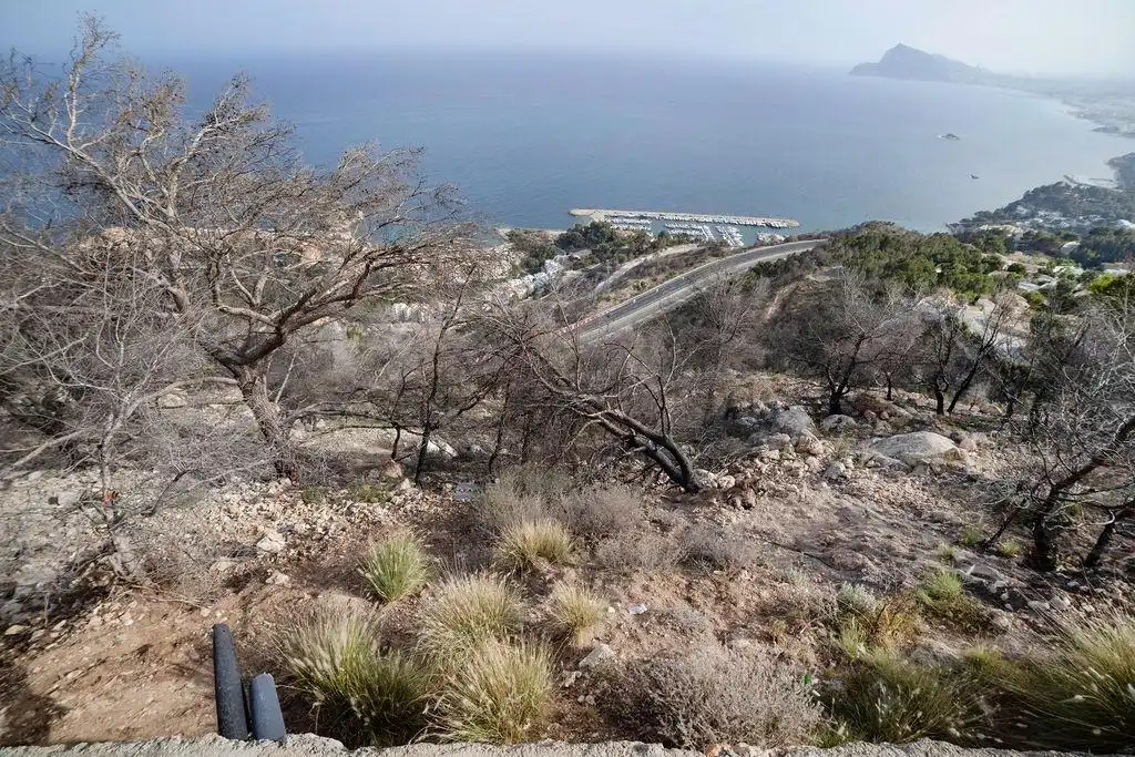 Terrenys i solars en venda a Calle Gran Bretaña, imagen 7