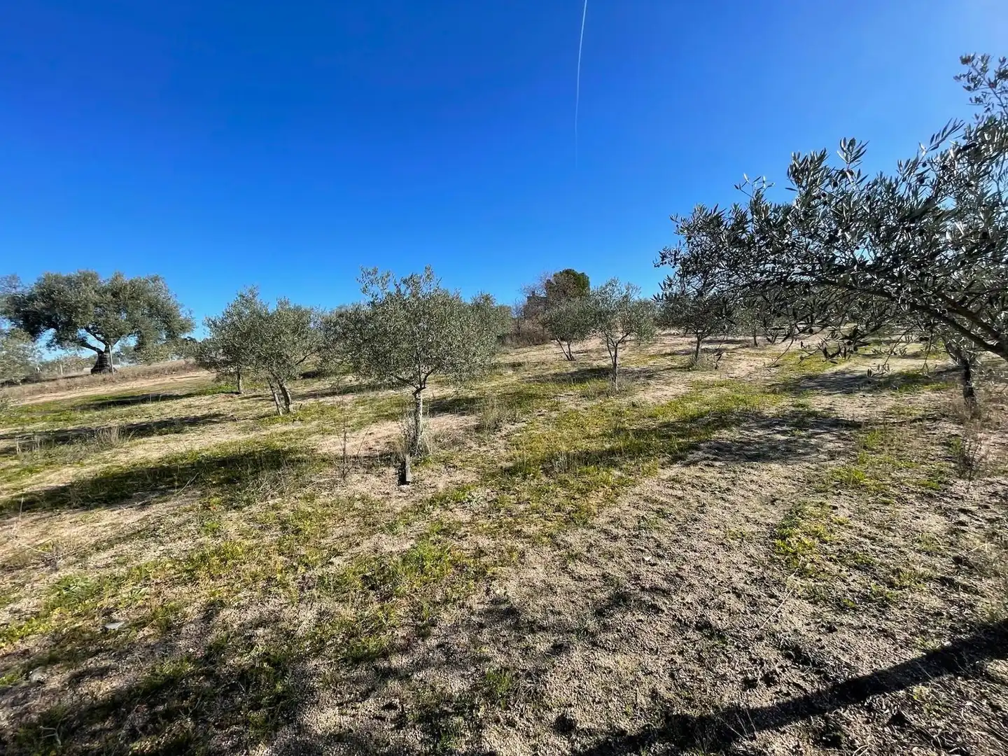 Casa o chalet en venta en Arroyo de la Luz con Amueblado