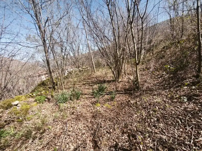 Terreni e lotti in vendita a Rionansa, imagen 14