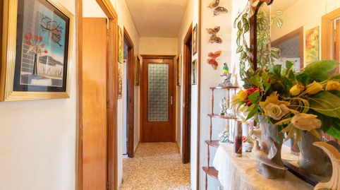 Foto 2 de Piso en venta en Diamantino Garcia, Barrio de Zaidín, Granada Capital
