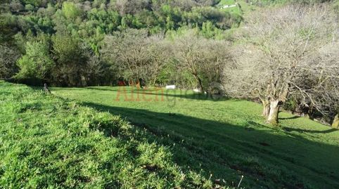 VENTA DE PARCELA EDIFICABLE  INCLINADA  LA MORTERA OLLONIEGO    A 15 MINUTOS DE OVIEDO CAPITAL !!!!, imagen 3