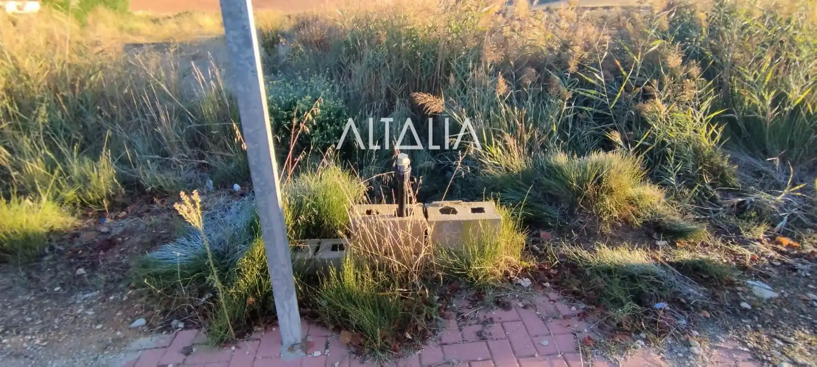 Rural land for sale in CAÑADA MOLINA, imagen 7