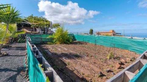 Foto 5 de Finca rústica en venta en Guía de Isora interior, Guía de Isora