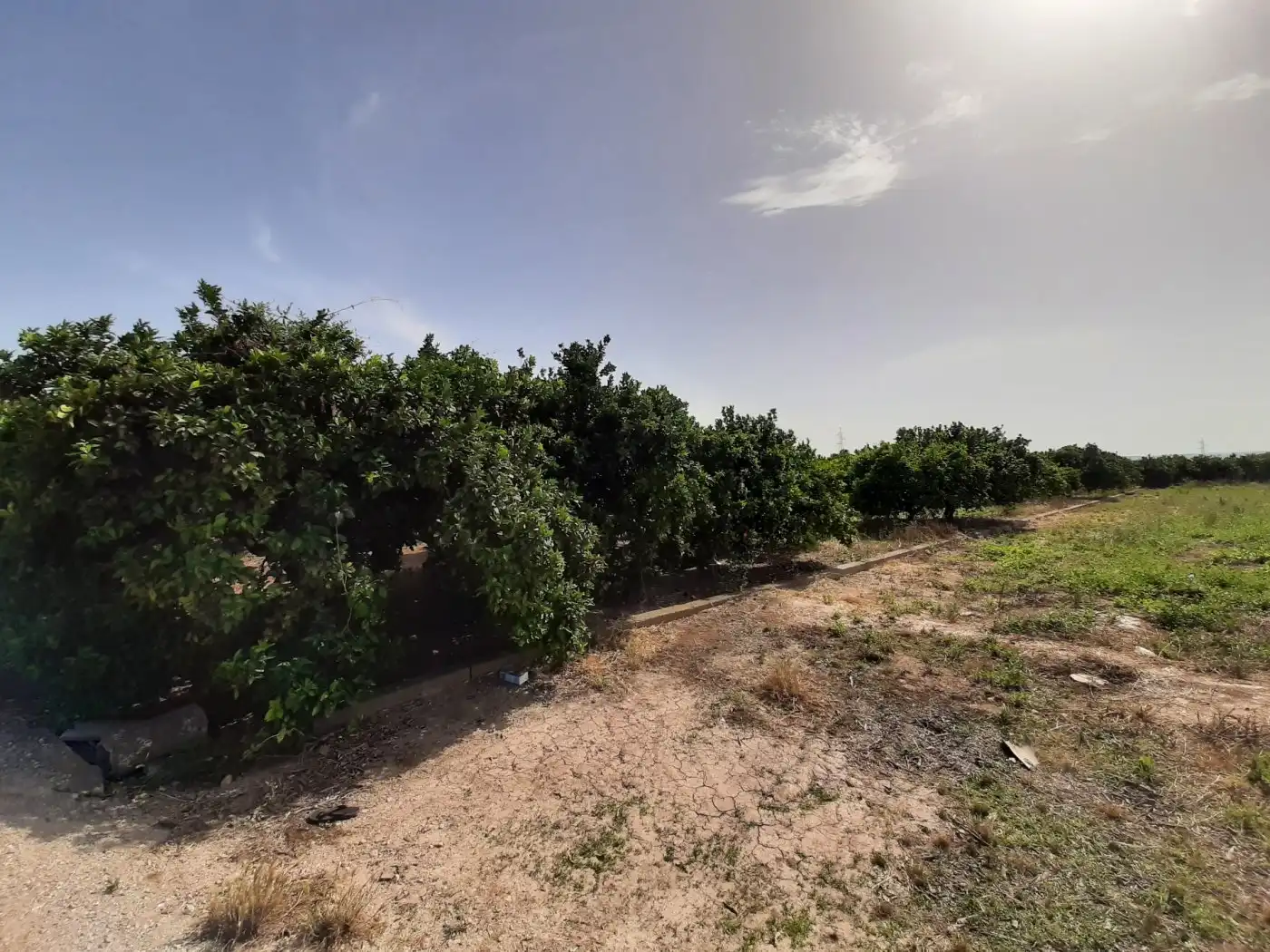 Terreny rústic en venda a Urbanitzacions i Pedanies Nord, imagen 7