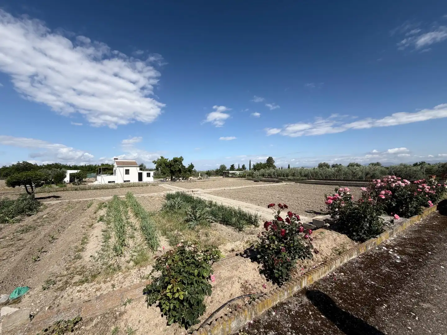 Garten von Grundstücke zum Verkauf in La Zubia