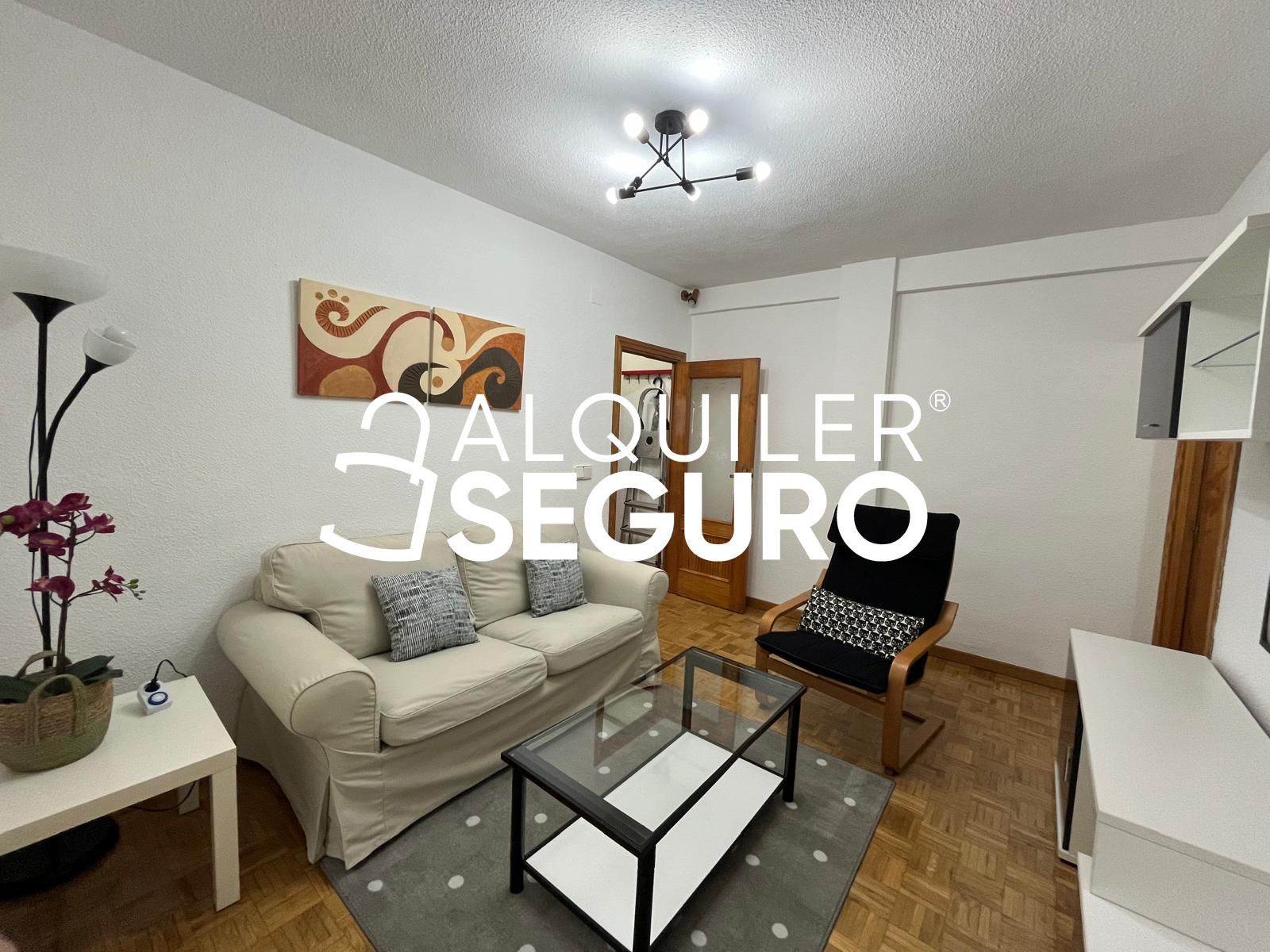 Living room of Flat to rent in  Madrid Capital  with Heating and Furnished