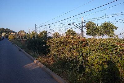 Photo 3 of Premises for sale in Carrer Marina, 121, Montgat, Barcelona