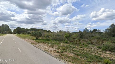 V14963 FINCA AGRICOLA SIN CULTIVAR, OPCIÓN REGADÍO Y VIVIENDA, immagine 5