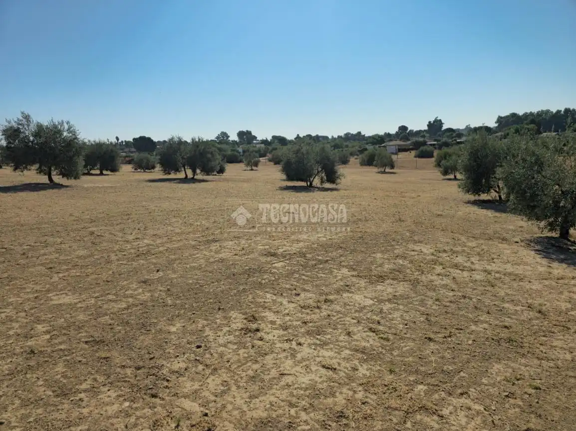 Rural land for sale in Arahal, imagen 9
