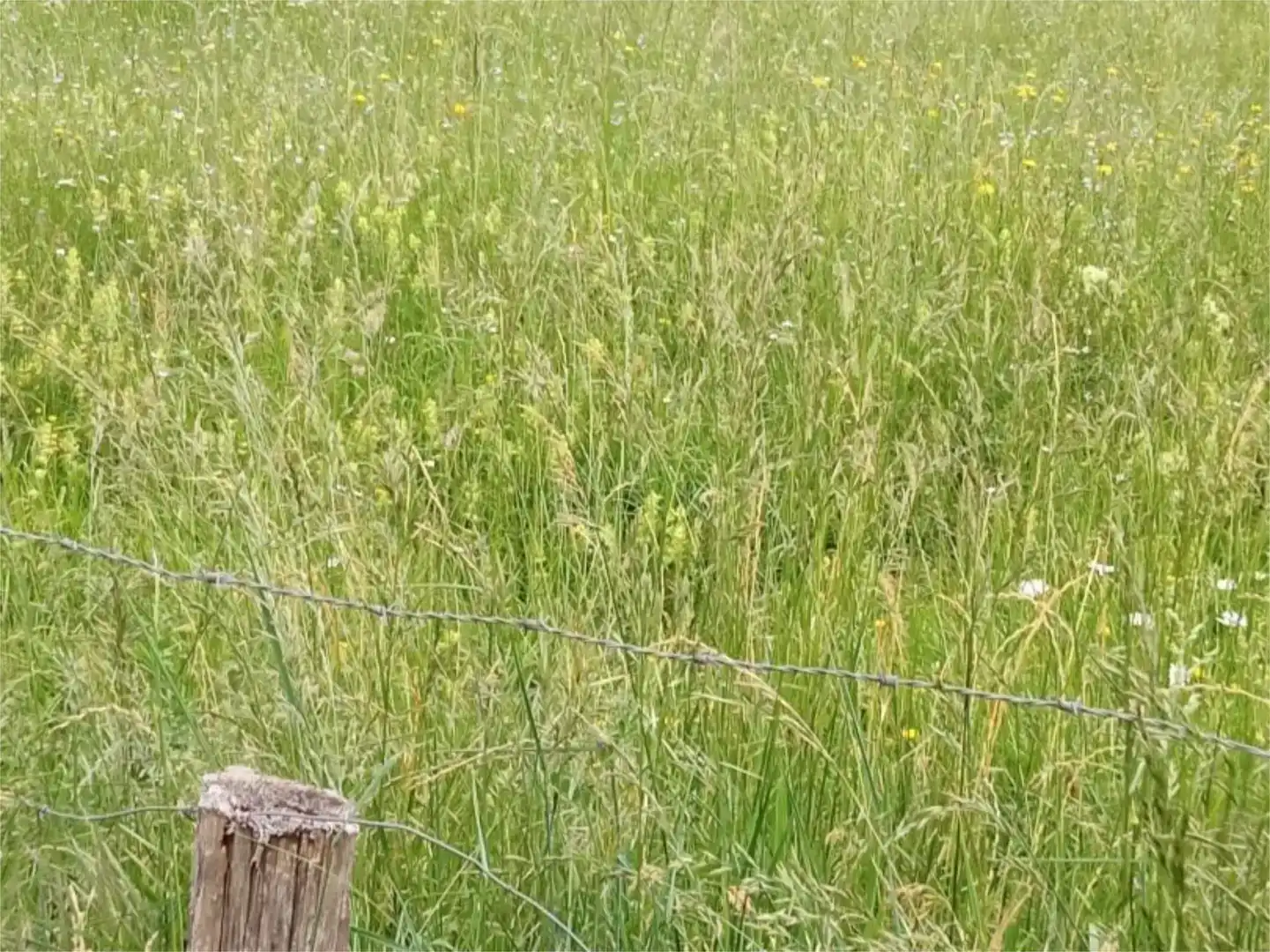 Terreno en venta en Bakaiku, Navarra
