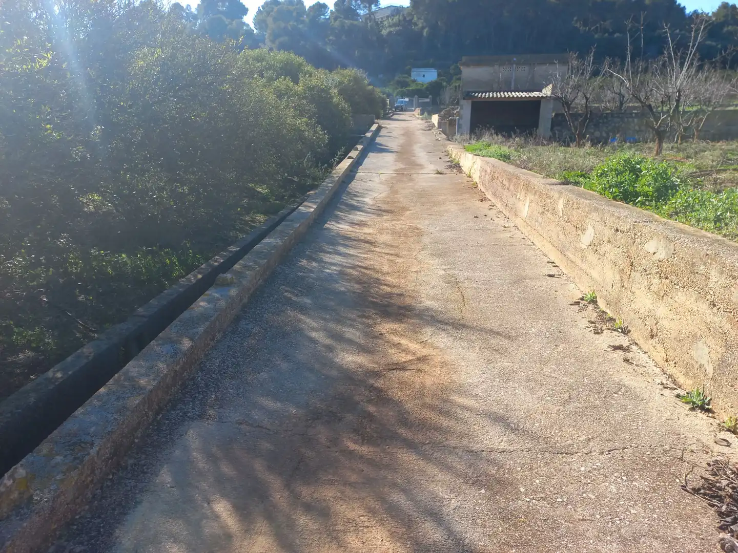 Terreno rústico en venta en Urbanitzacions i Pedanies Nord, imagen 3