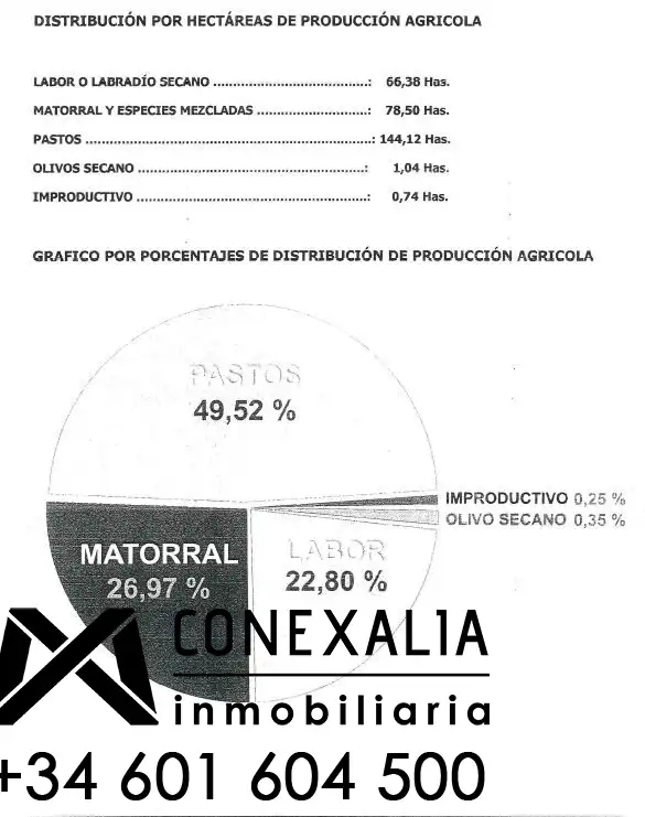 Casa rústica en venda a Olvera, imagen 14