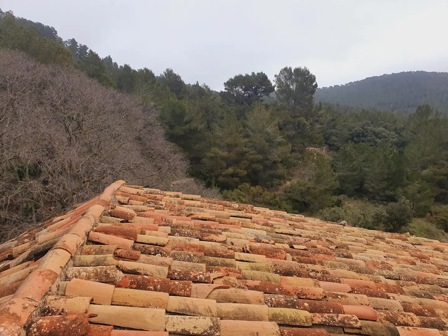 House for sale in Tivissa, imagen 41
