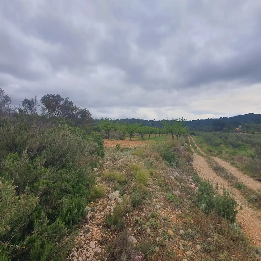 Rustikales Grundstück zum Verkauf in El Pinell de Brai, imagen 2
