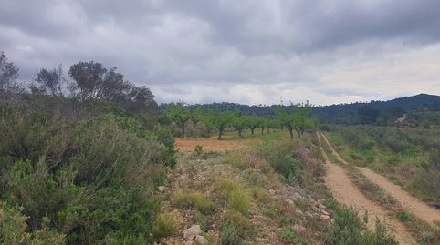 Suelo agrícola en venta en El Pinell de Brai, immagine 2