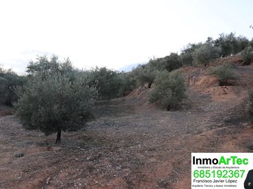 Terrain rustique à vendre à Calle Pilar Alto 20