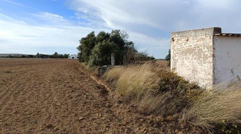 Foto 2 de Finca rústica en venta en Villanueva Golf, Cádiz