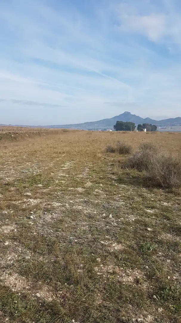 Finca rústica en venda en Salinas