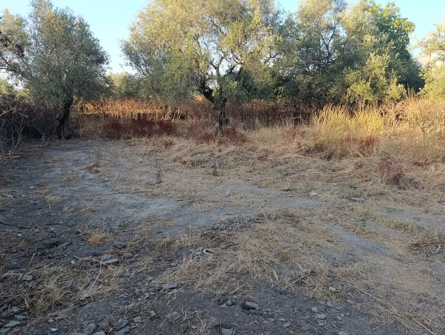 Rural land for sale in Calle Medina 14, imagen 2