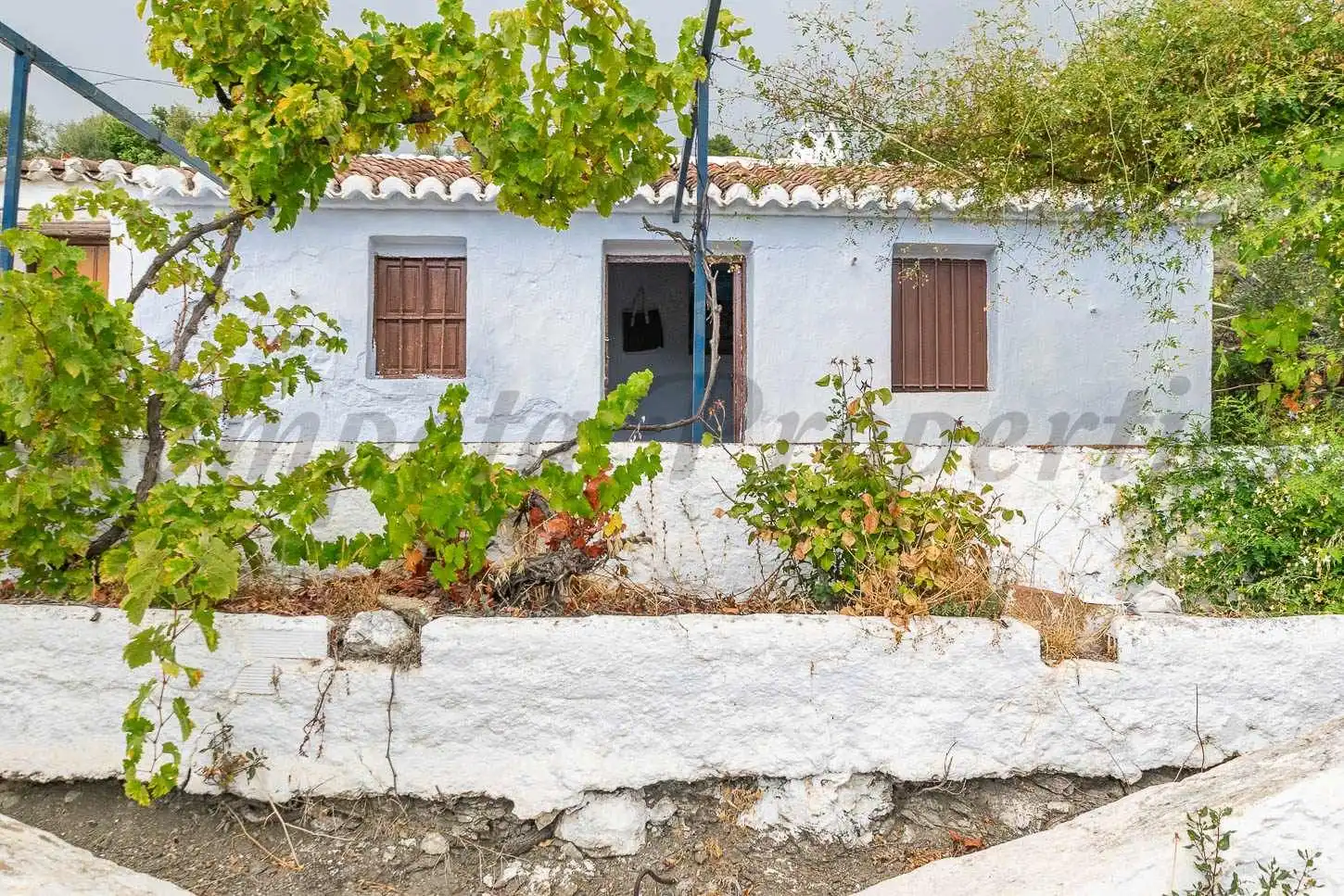 Casa amb jardí en venda a Canillas de Aceituno